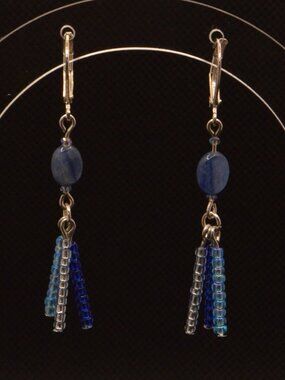 Blue Beaded Dangle Earrings